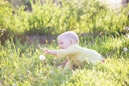 Baby eleven months months sitting in the grassの写真素材