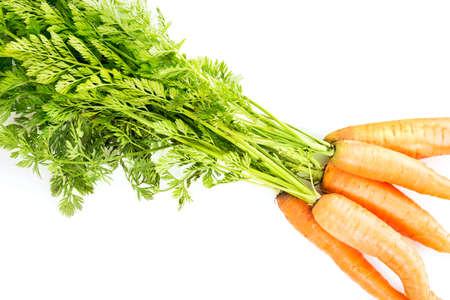 Fresh carrots on a white backgroundの写真素材