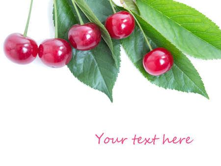 cherries on a white backgroundの写真素材