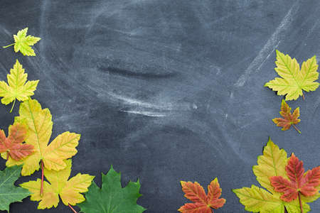 Autumn leaves on the background of the teachers' board