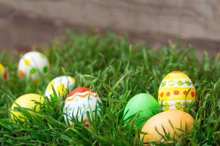 Easter eggs hiding in the grass