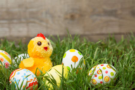 Easter eggs hiding in the grass