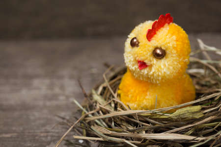 chick from an egg in a nest