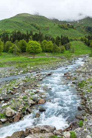Mountain river in the forest. Abkhazia