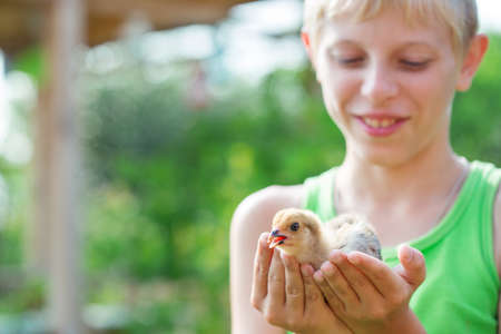 Boy playing with chickens in the gardenの写真素材