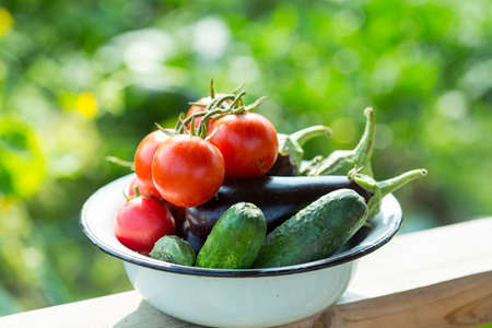 Vegetables in the plate in the gardenの写真素材