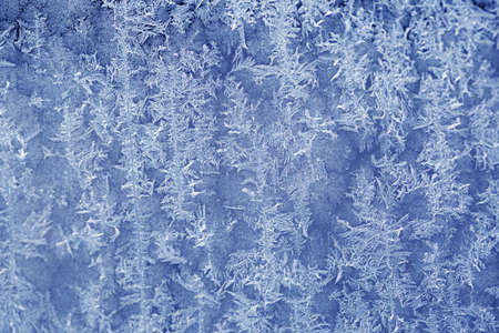 Texture of frost in the coldの写真素材