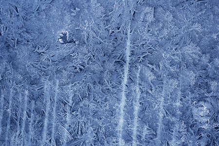 Texture of frost in the cold