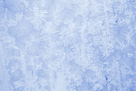 Texture of frost in the cold