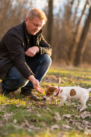 Man playing with Jack Russell puppy in natureの写真素材