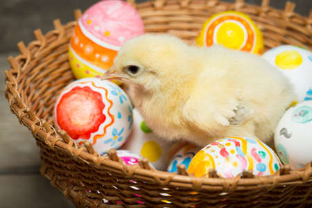 Easter eggs and chicken on wooden boards