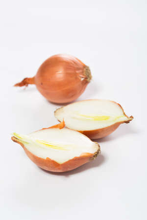 onions on a white backgroundの写真素材
