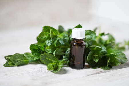 Essential oil of mint with mint leaves on a light backgroundの写真素材