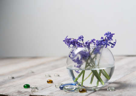 Purple flowers on white boardsの写真素材