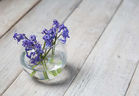 Purple flowers on white boardsの写真素材