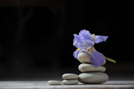 Beautiful composition of spa treatment on white wooden tableの写真素材