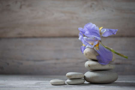 Beautiful composition of spa treatment on white wooden tableの写真素材