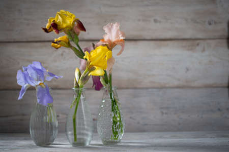 Iris flowers in vases on wooden boardsの写真素材