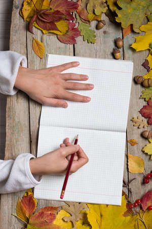 The pupil's hands with a notebook on the autumn table