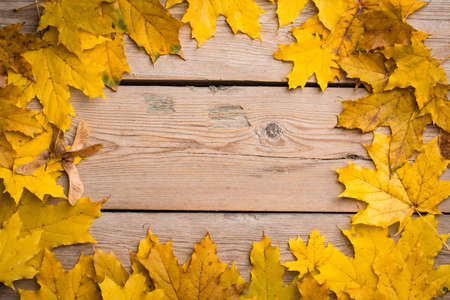 Autumn leaves on wooden boards, background of autumn