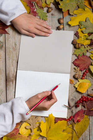 The pupil's hands with a notebook on the autumn table