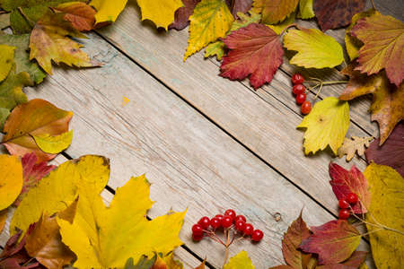 Autumn leaves on wooden boards, background of autumn