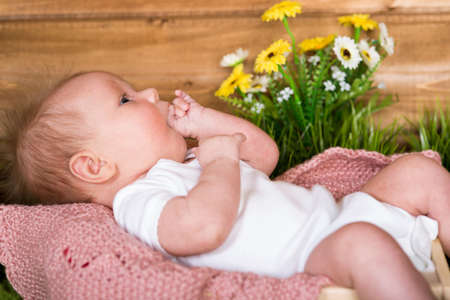 A newborn baby of two months of ageの写真素材