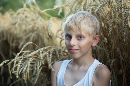 Boy teenager thirteen years old on a wheat fieldの写真素材