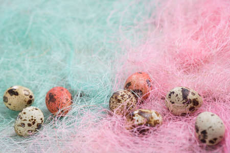 Easter eggs on wooden, Painted Easter eggs on old boards , Easter backgroundの写真素材
