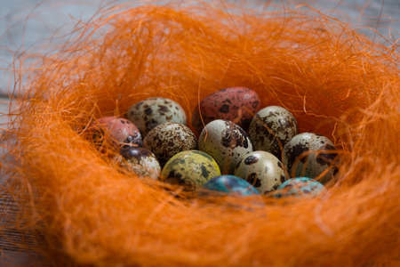 Easter eggs on wooden, Painted Easter eggs on old boards , Easter backgroundの写真素材
