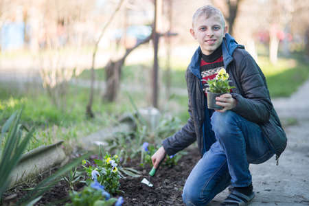 Guy sits flowers viola on the flowerbed
