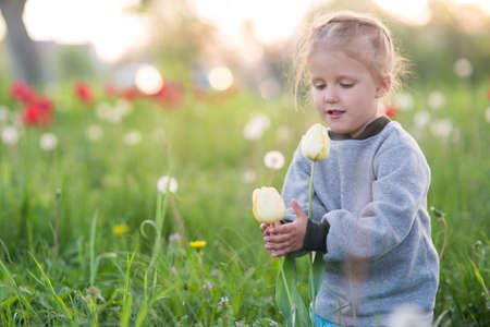 The girl is three years old, walking along the spring clearing with flowersの写真素材