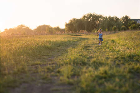 The girl is three years old, child on the field at sunsetの写真素材