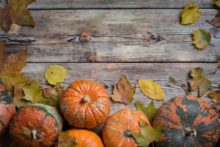Orange pumpkins on wooden boards