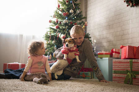 Brother and sister in a room with a Christmas treeの写真素材