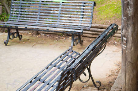 Empty Benches in the Parkの写真素材