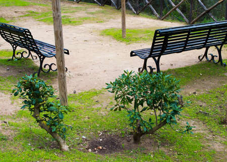 Italian Black Benchesの写真素材