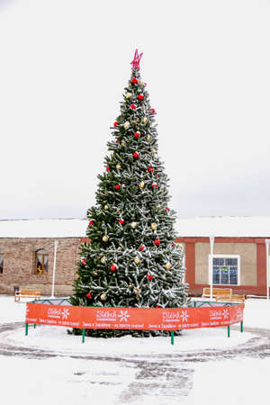 Russia, Moscow region, Zaraysk 12 January, 2022: Christmas tree dressed up city center at winter day. Natural background view.のeditorial素材