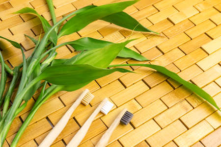 Young green bamboo branches, leaves, toothbrush on wooden background. Spa, massage, welbeing, zen concept. Top view. Close up. Selective soft focus. Text copy space.の写真素材