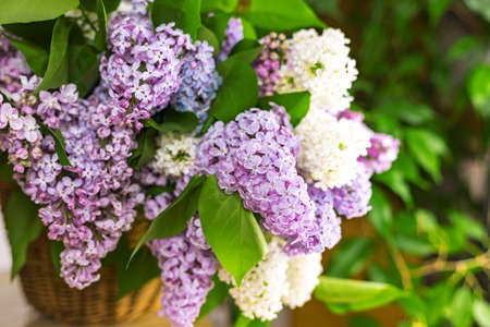 Lilac flower branches in wicker basket on wooden table near white wall backgroundの写真素材