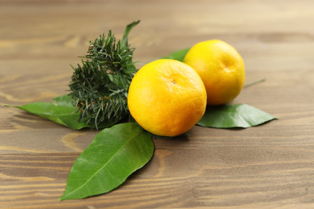 Christmas design of two whole mandarin or tangerine fruits, green leaves, fir tree on wooden backgroundの写真素材