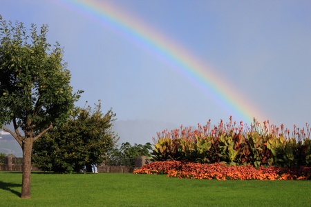Rainbowの写真素材