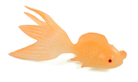 goldfish isolated on white backgroundの写真素材