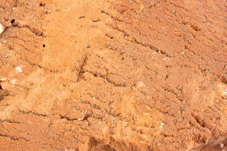 brick background
