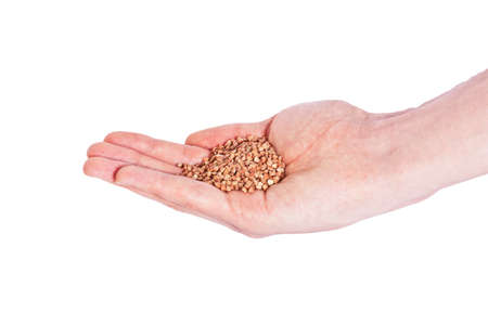 buckwheat in the open palm isolated on white backgroundの写真素材