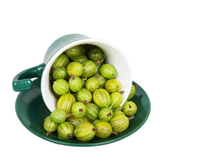 Gooseberries in an inverted green cup on green saucer isolated on white backgroundの写真素材