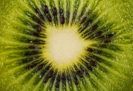 Close up of a kiwi fruitの写真素材
