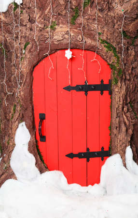 Little red decorative door in a tree with snowの写真素材
