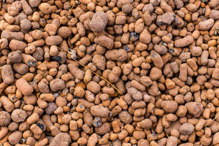 Heat expanded clay pebbles used as a growing media in hydroponics. Background close up of pellets.