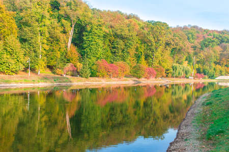 autumn trees reflected in a lake in the park
